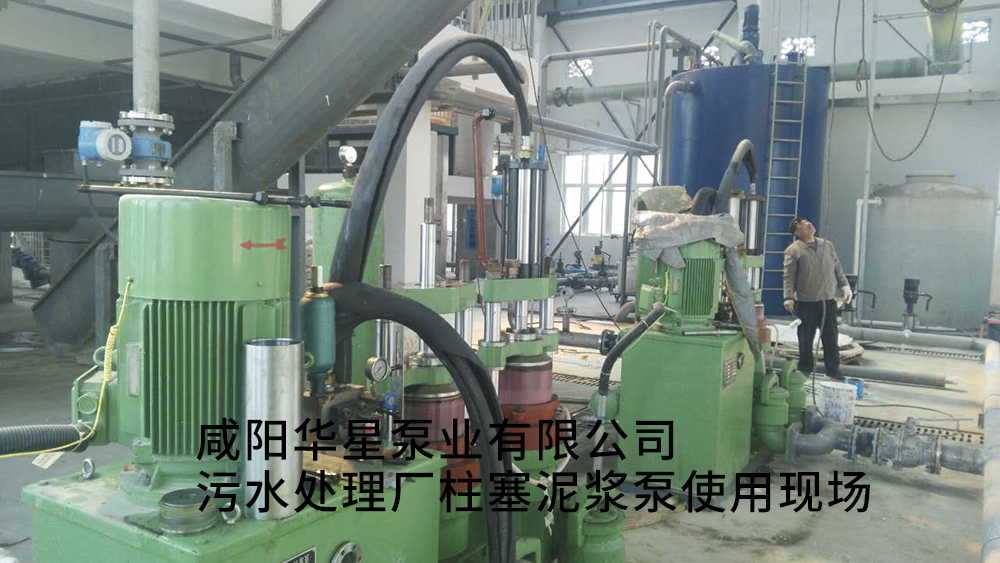 污水處理廠柱塞泥漿泵使用現場